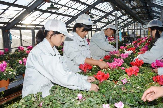 フラワーサイエンス科 紹介