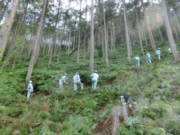 森林環境科 紹介