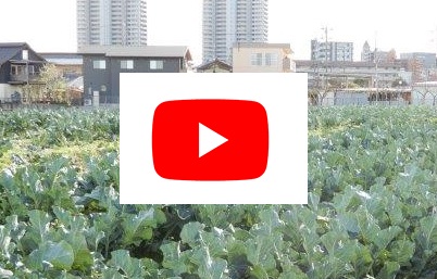 農業ＰＲ動画集(Youtube)